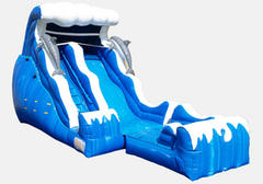Dry Dolphin Slide Dry Dolphin Slide