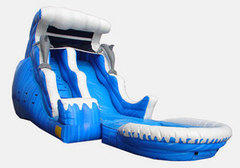 Wet Dolphin Slide Wet Dolphin Slide