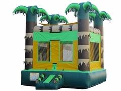 Bahama Bay Bouncer Bahama Bay Bouncer