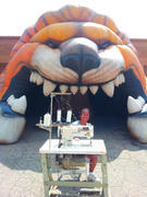 Detroit Lions Detroit Lions